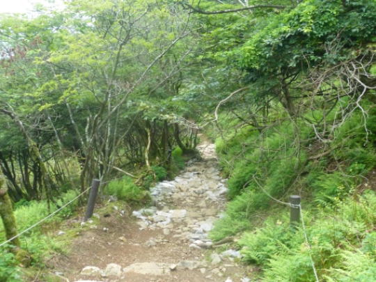 画像30